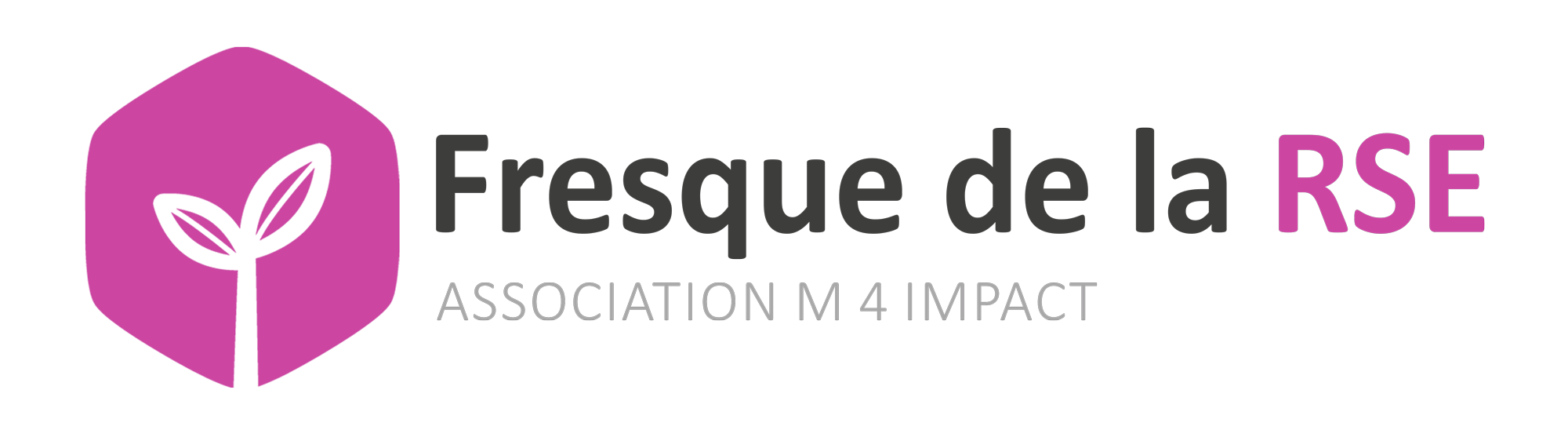 Fresque de la RSE